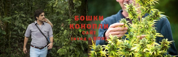 кокс Аркадак