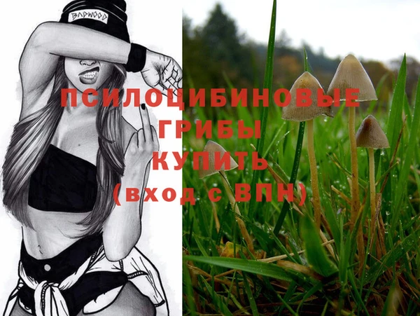 MDMA Кодинск