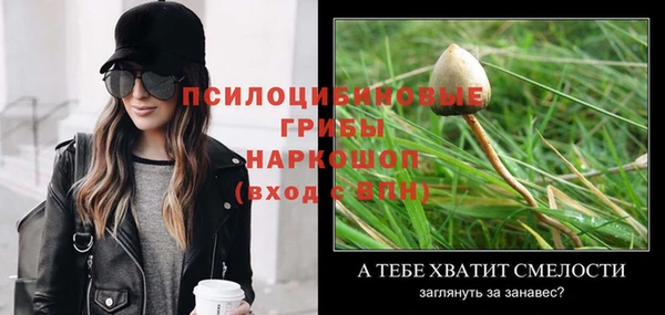 мескалин Арсеньев