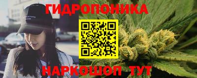 прущие крисы Волжск