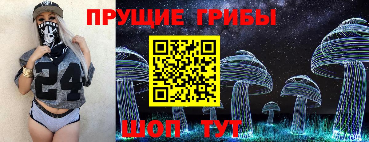 Псилоцибиновые грибы Psilocybine cubensis Чернушка
