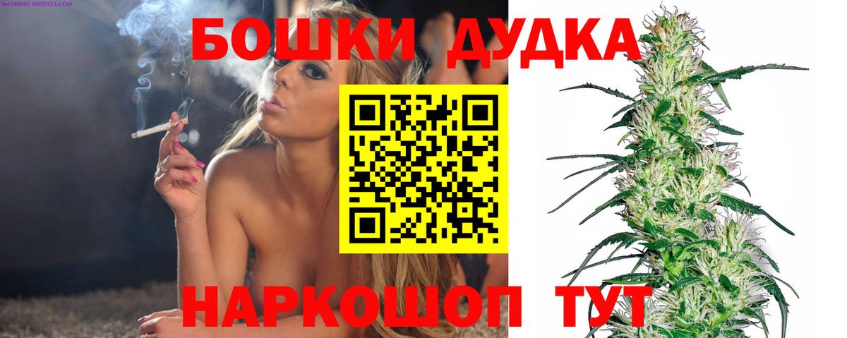 Конопля Amnesia  Чернушка  Марихуана семена  Каннабис конопля 